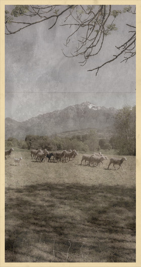 Le kilomètre dérogatoire