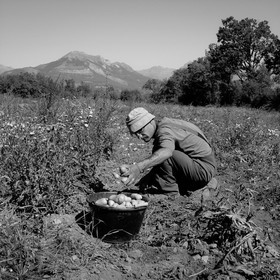 Stéphane Saint-Aubin, maraicher à Pelleautier