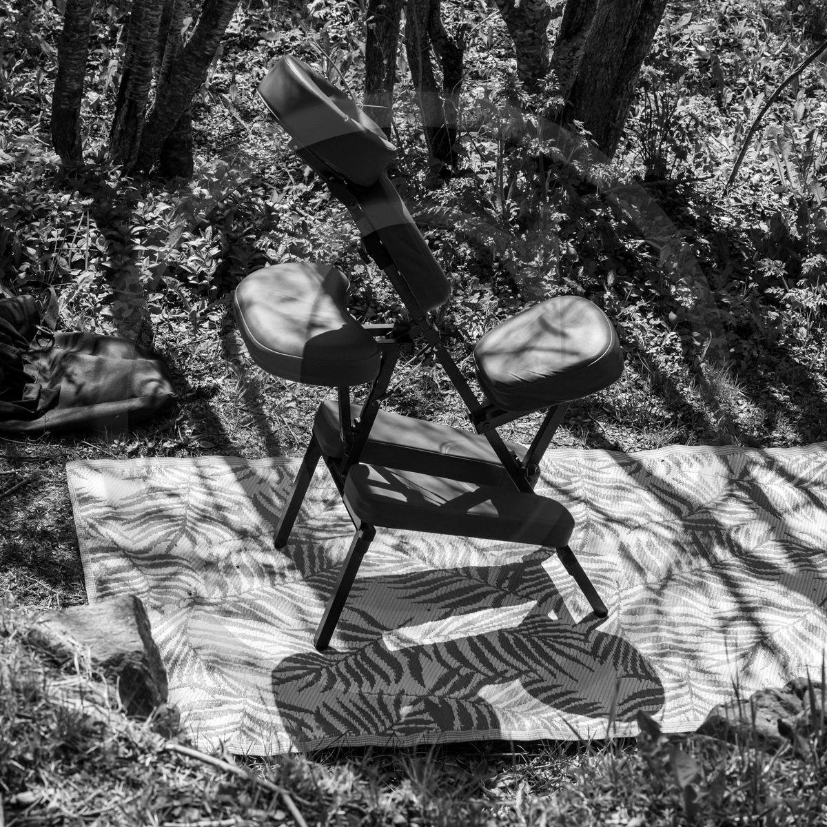 29 avril 2022 : journée des aidants et des aidés