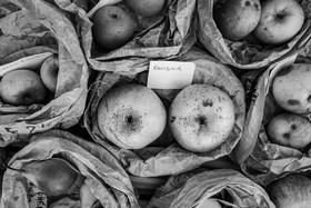 05 novembre 2022 : des pommes et des soupes