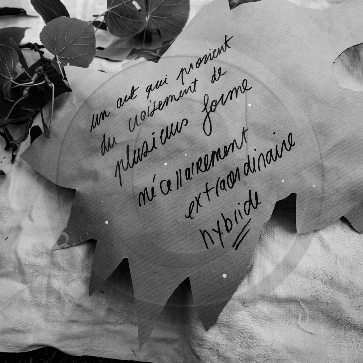 09 septembre 2022 : Journ&ée des aidants et des aidés