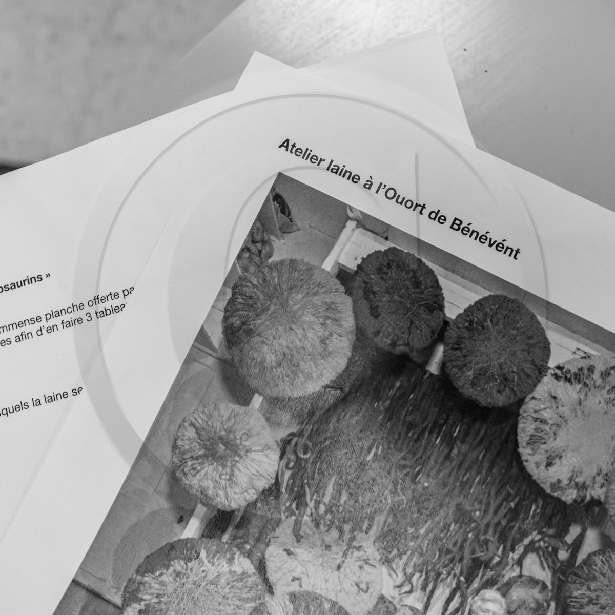 04 mai 2022 : atelier laine