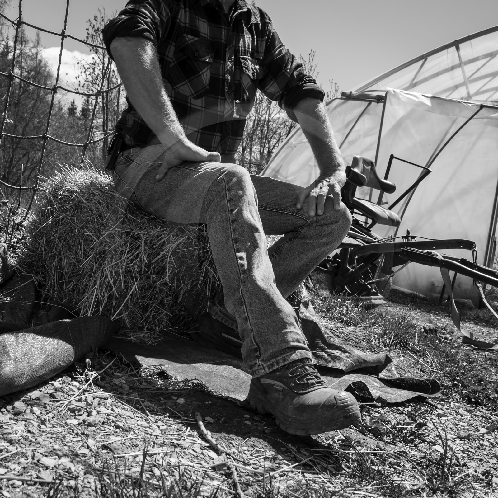 Labour avec un cheval