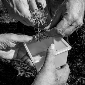 16 août 2021 : Journée des aidants