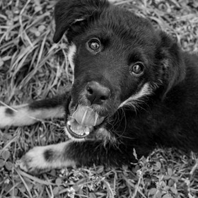 28 juin 2021 : Journée des aidants à l'Ouort.