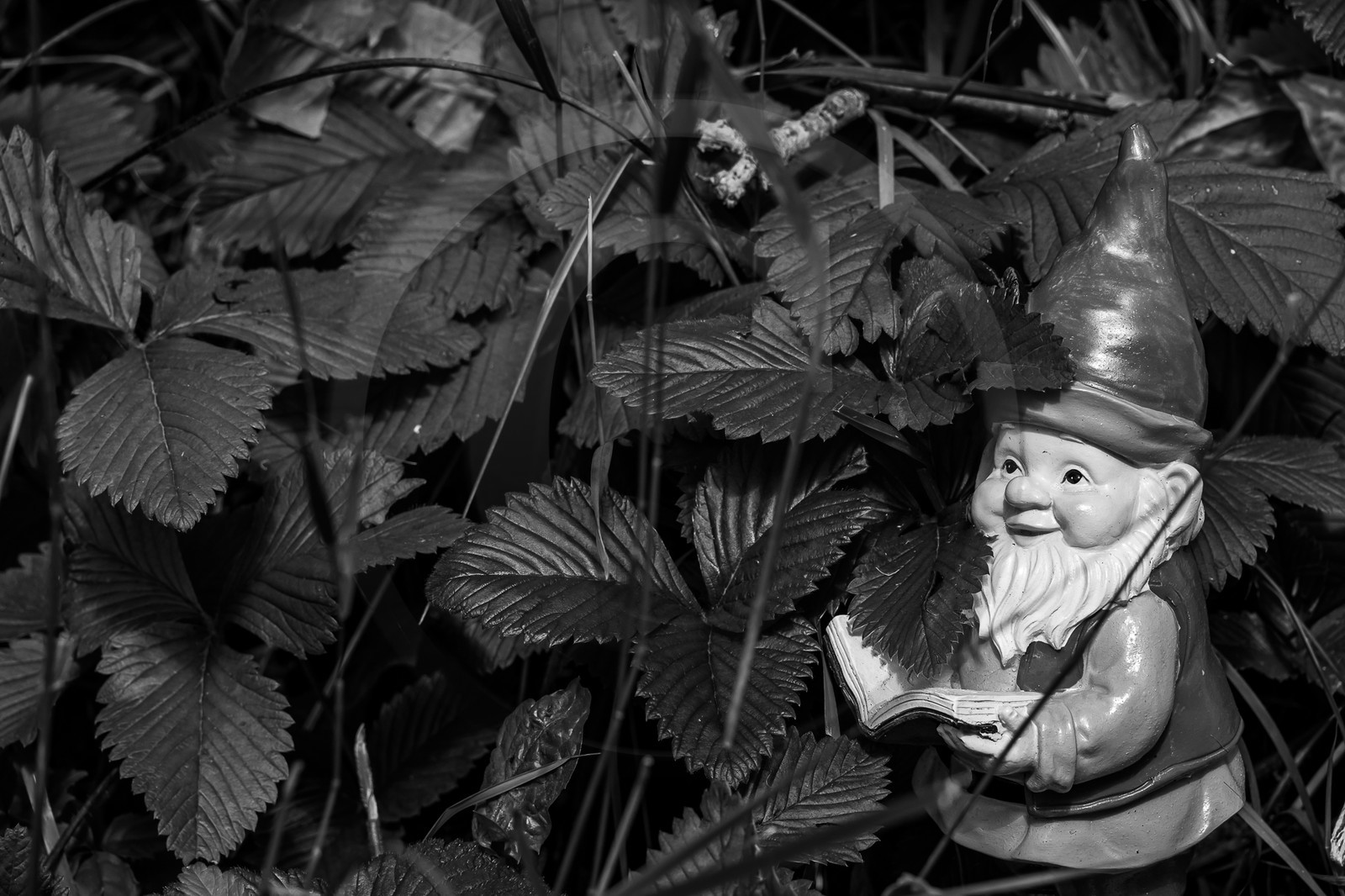 17 juillet 2023 : Journée des aidants et des aidés