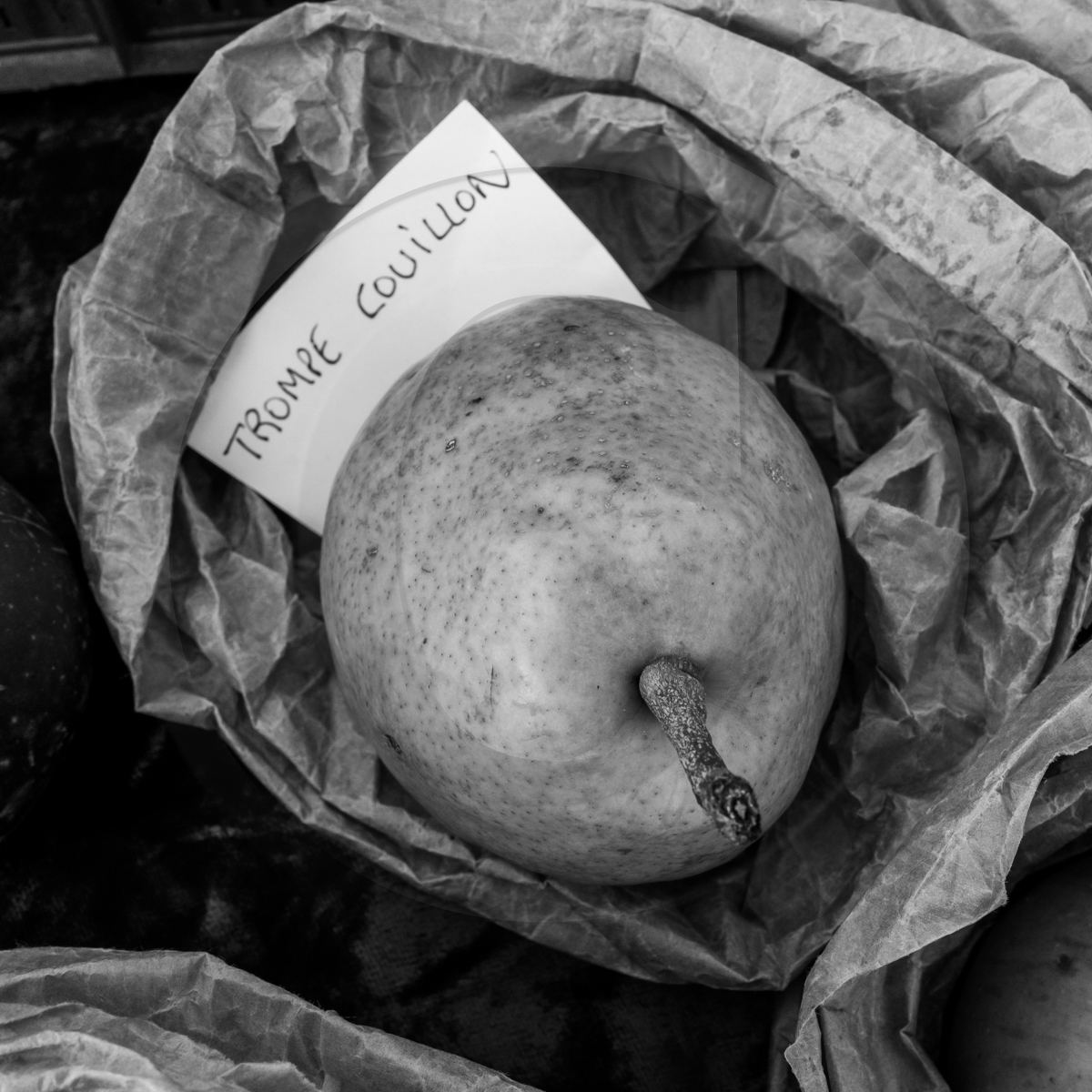 05 novembre 2022 : des pommes et des soupes