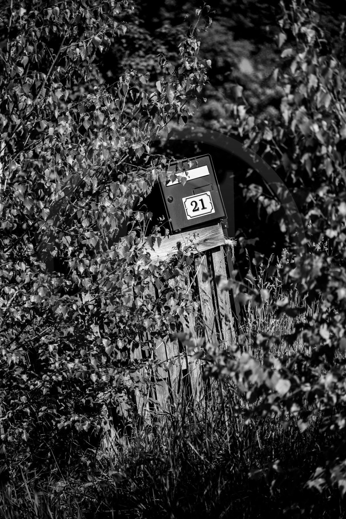 Des chiffres et des lettres