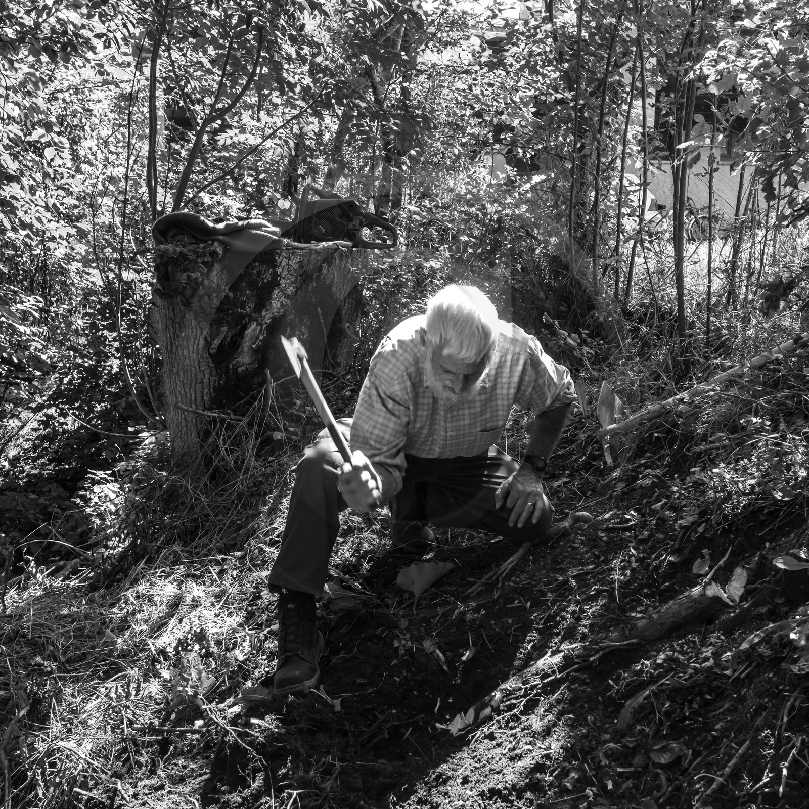 Activités au jardin