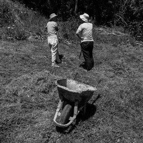 12 juillet 2017 - Moulins à vent