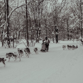 La Valgaude Traineau 2015