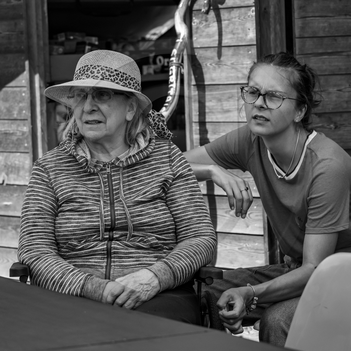 29 juin 2022 : Découverte des plantes sauvages