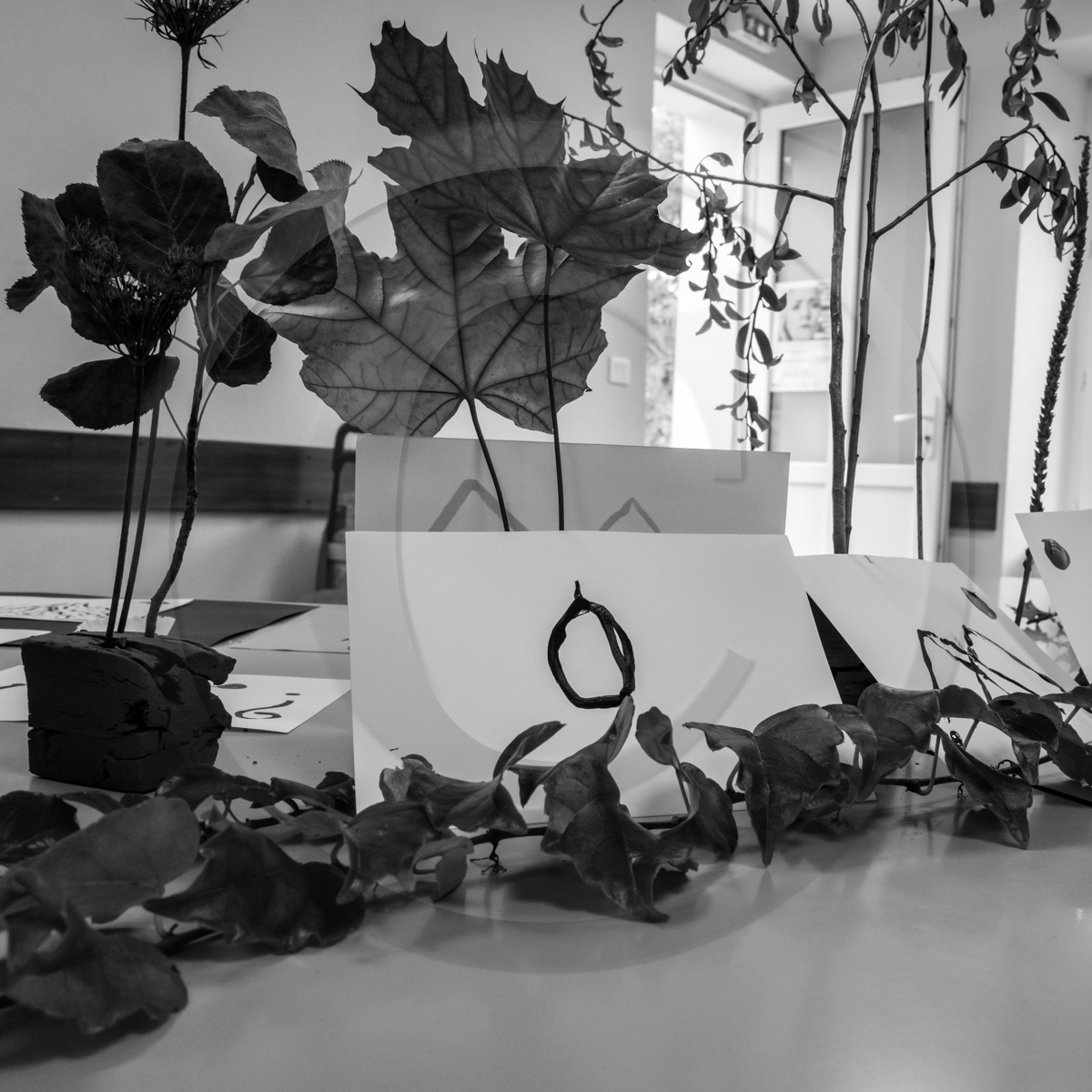 14 octobre 2022 : journée des aidants et des aidés