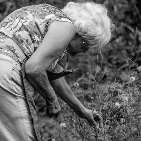 28 juin 2021 : Journée des aidants à l'Ouort.