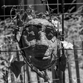 30 juin 2021 : Jardinage, jeux de cartes, masques