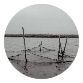 Les instants Camargue