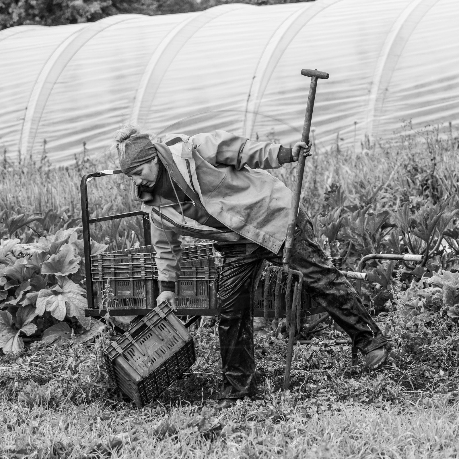 Maraichage biologique dans le Champsaur