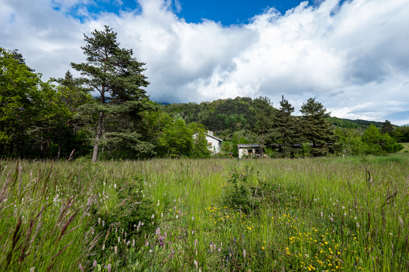 Le Pas du Loup - Le Glaizil -14 mai 2023