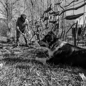 10 mars 2021 : on jardine, on fabrique des jeux