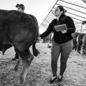 Rencontres paysannes à Saint-Bonnet en Champsaur