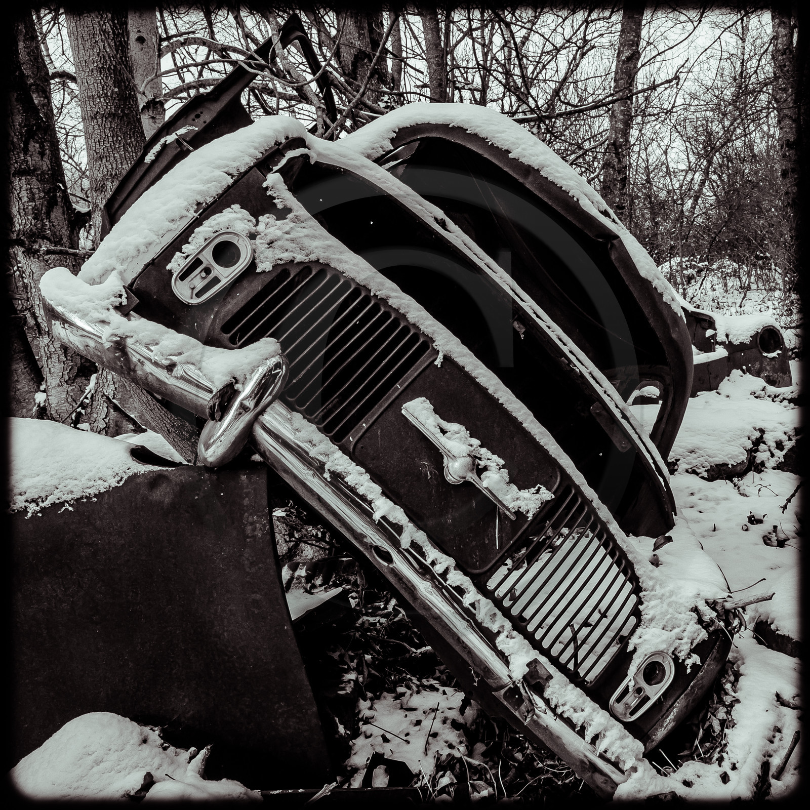 Un cimetière de voitures