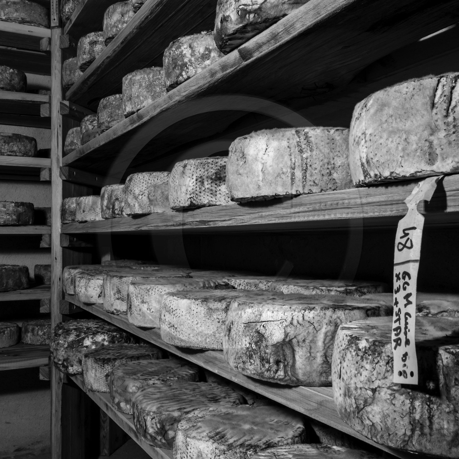 Le GAEC des Counières