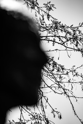 Exposition La forêt d'hommes, une création de Barbara Fougnon, artiste plasticienne