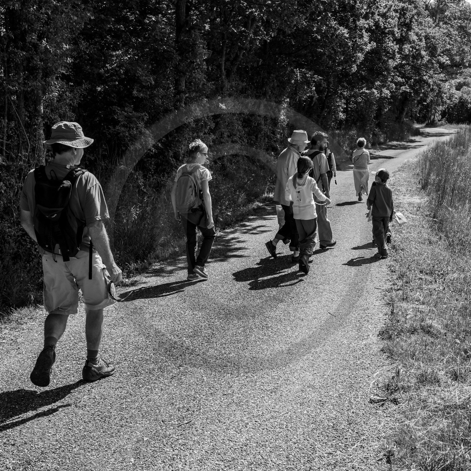 06 juin 2021 : Vide-Jardin et peinture végétale