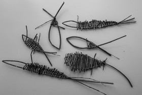 10 avril 2024 : Osier, laine et taille