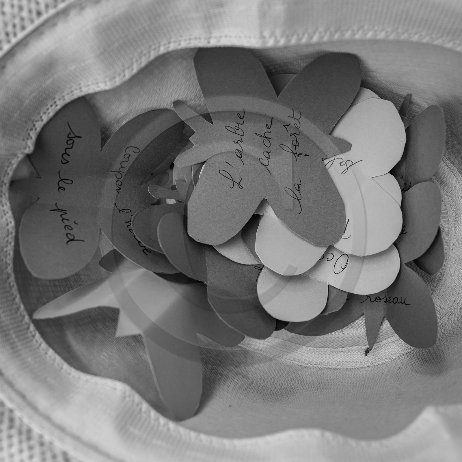 30 août 2023 : Lectures au jardin