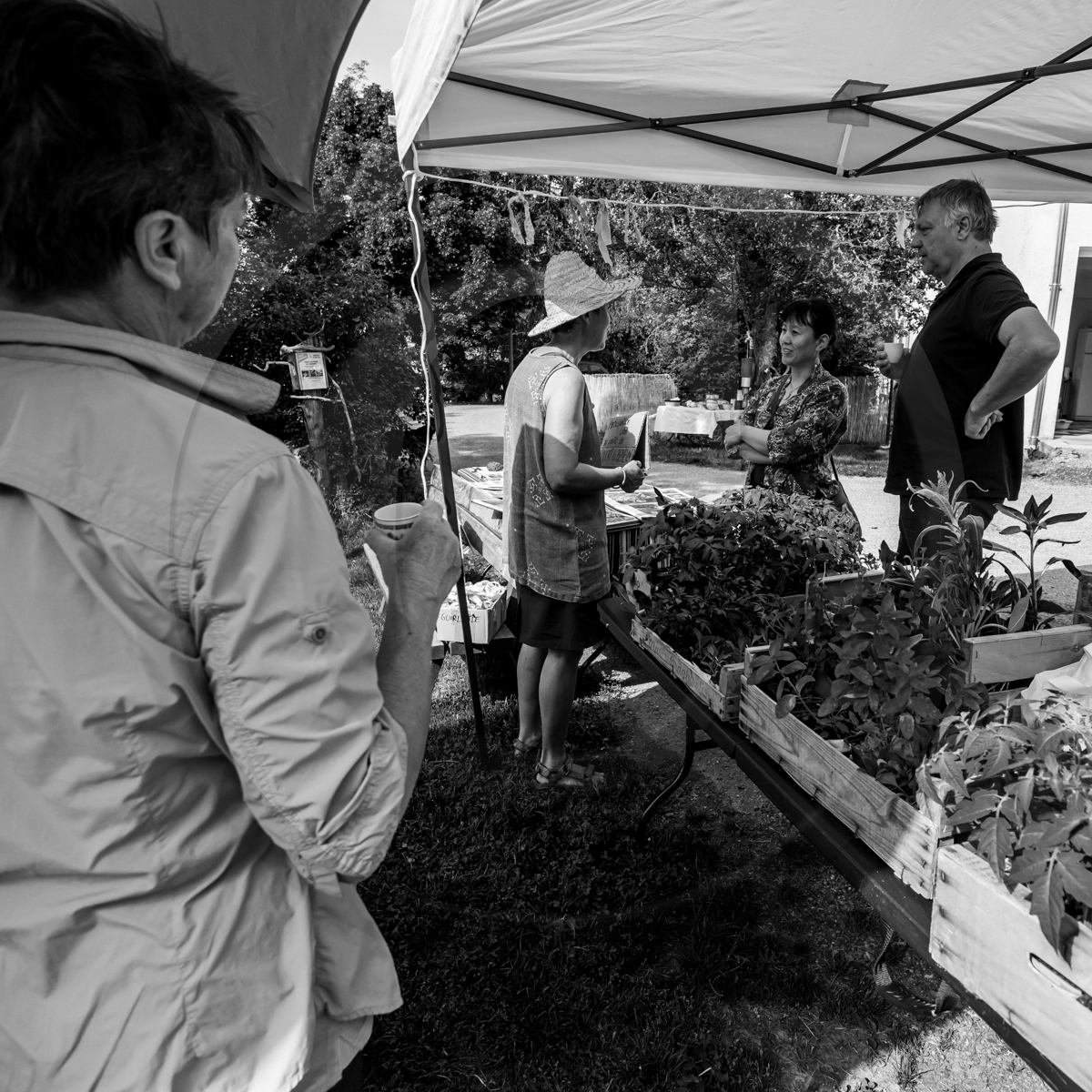 22 mai 2022 : Vide-Jardin