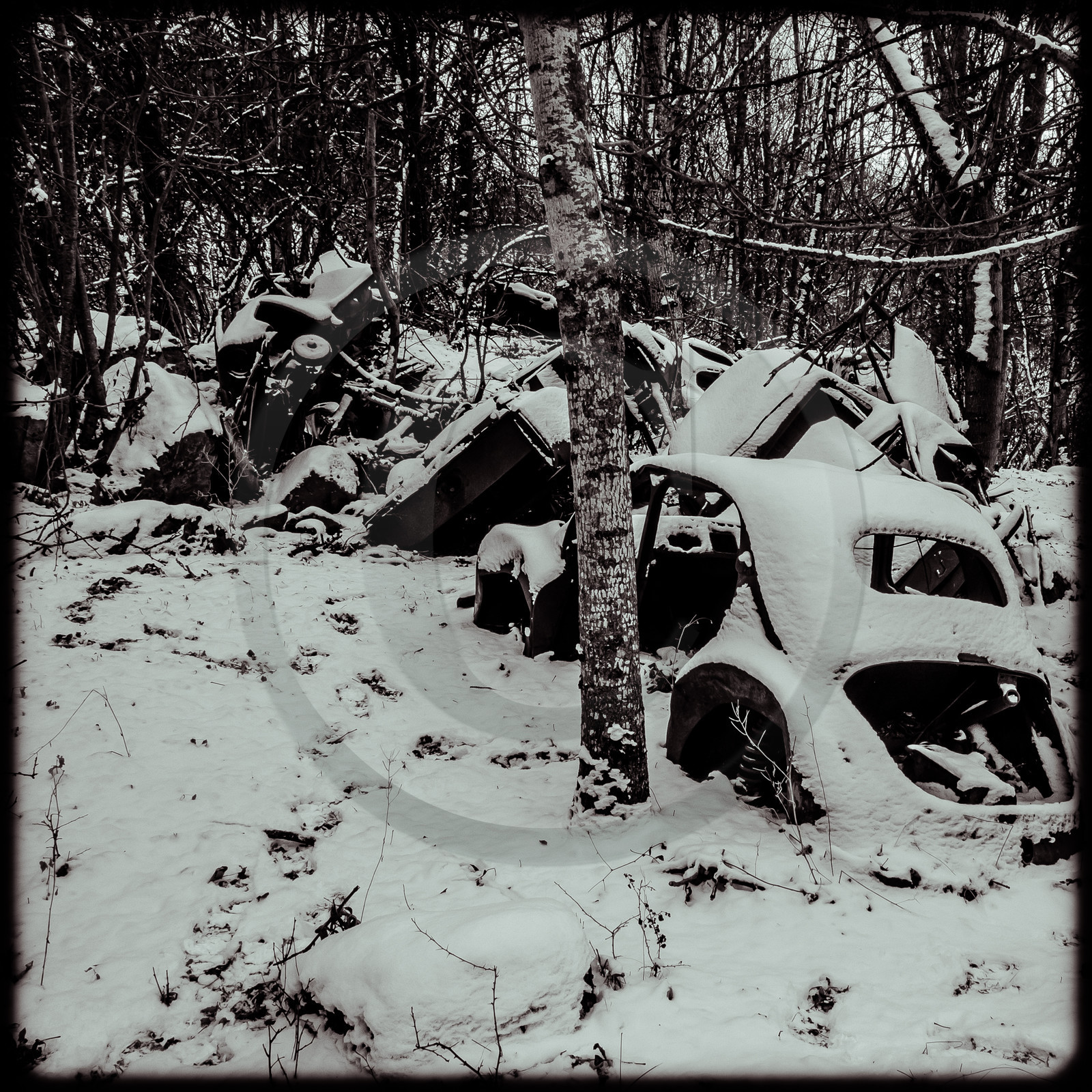 Un cimetière de voitures
