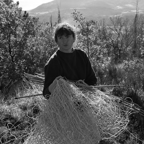 Des moutons et des parcs