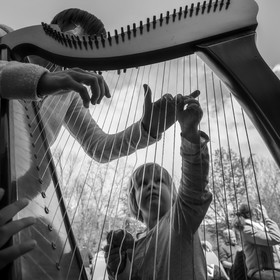 Animation musicale avec Philippe Séranne
