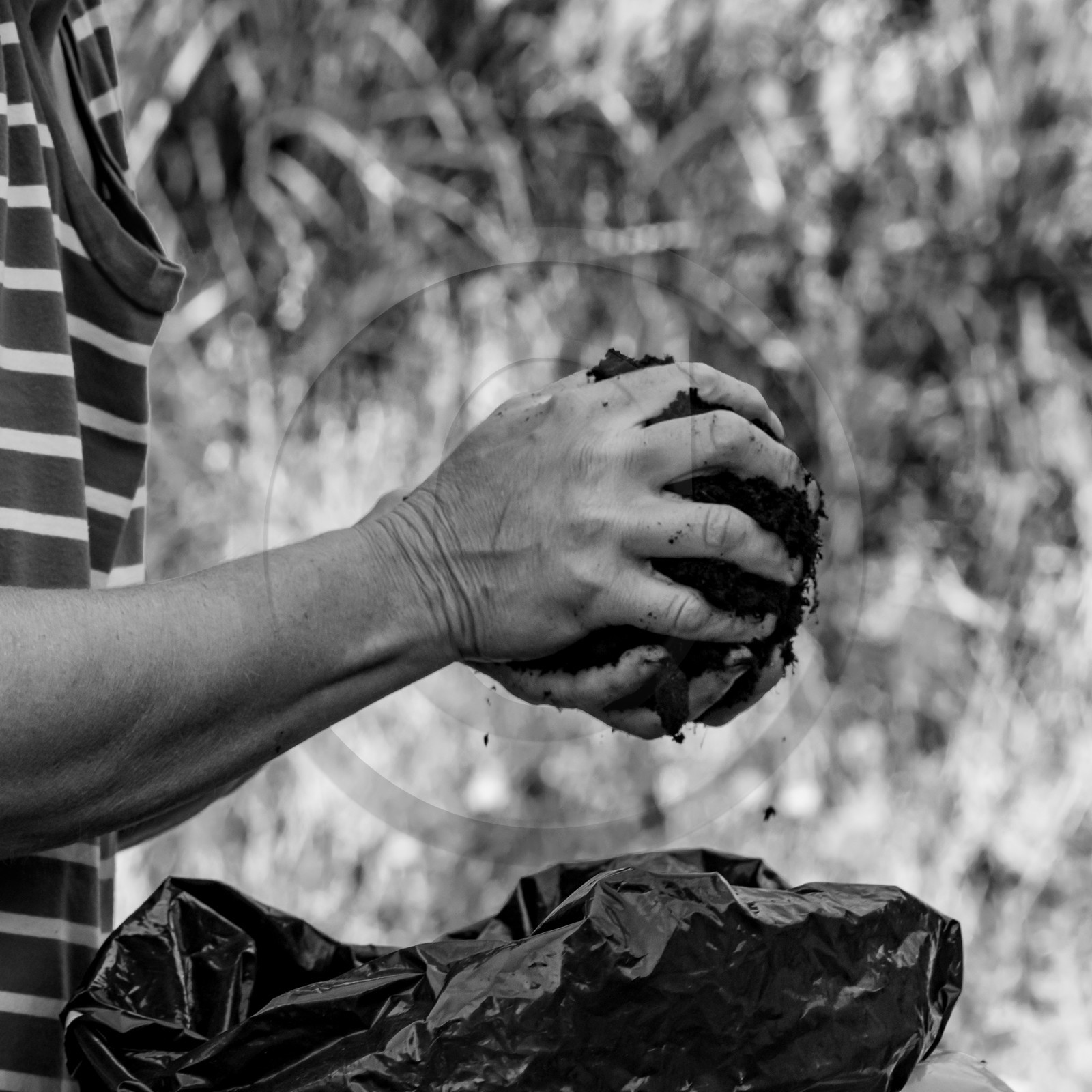 16 août 2021 : Journée des aidants