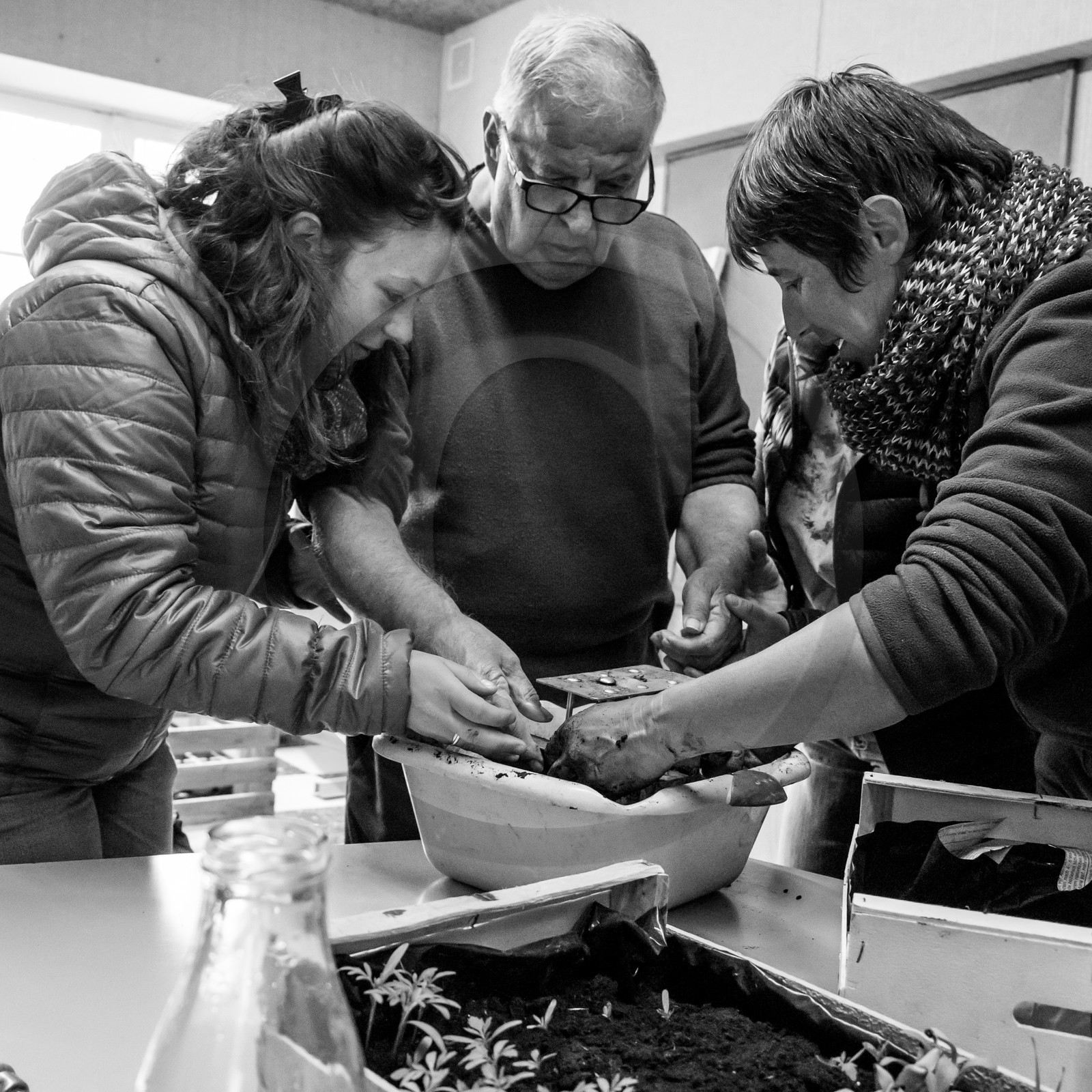 Atelier repiquage et semis - 26 04 2017