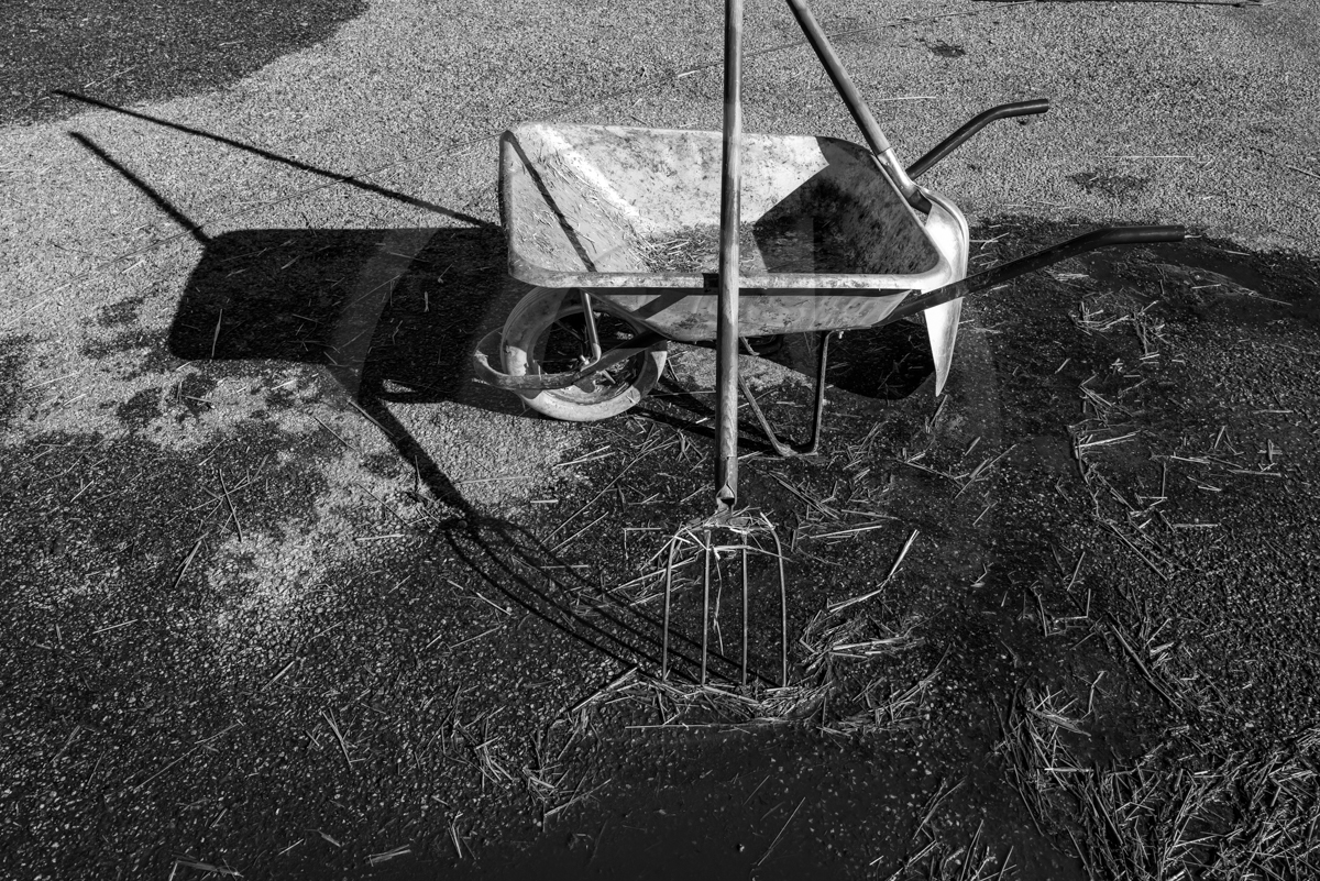 Rencontres paysannes à Saint-Bonnet en Champsaur