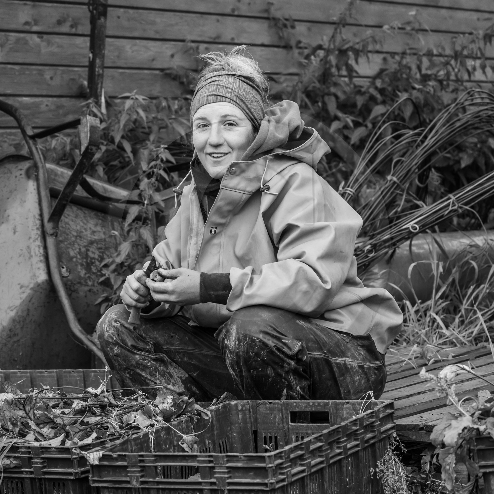 Maraichage biologique dans le Champsaur