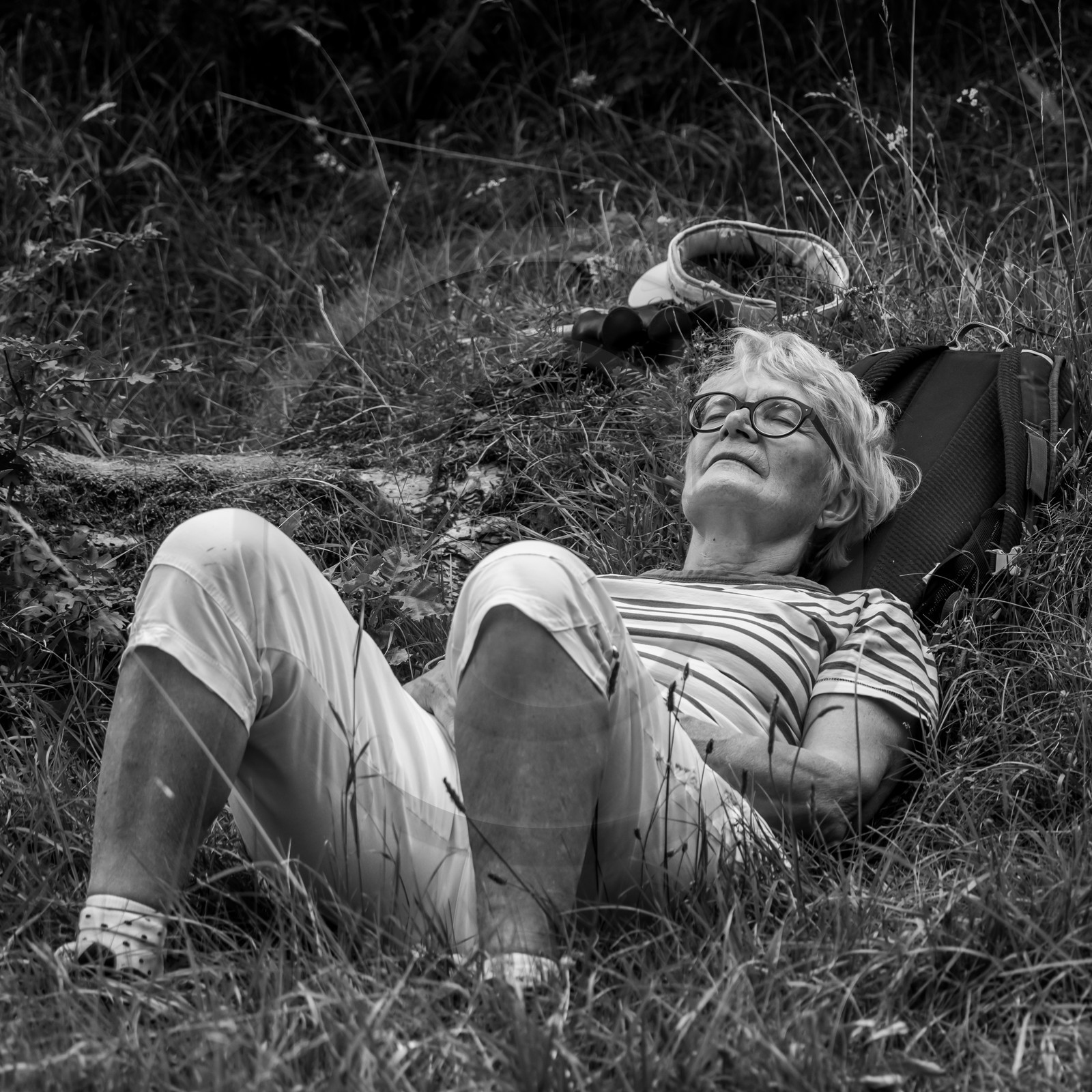 Arpenter le paysage avec Martin de la Soudière