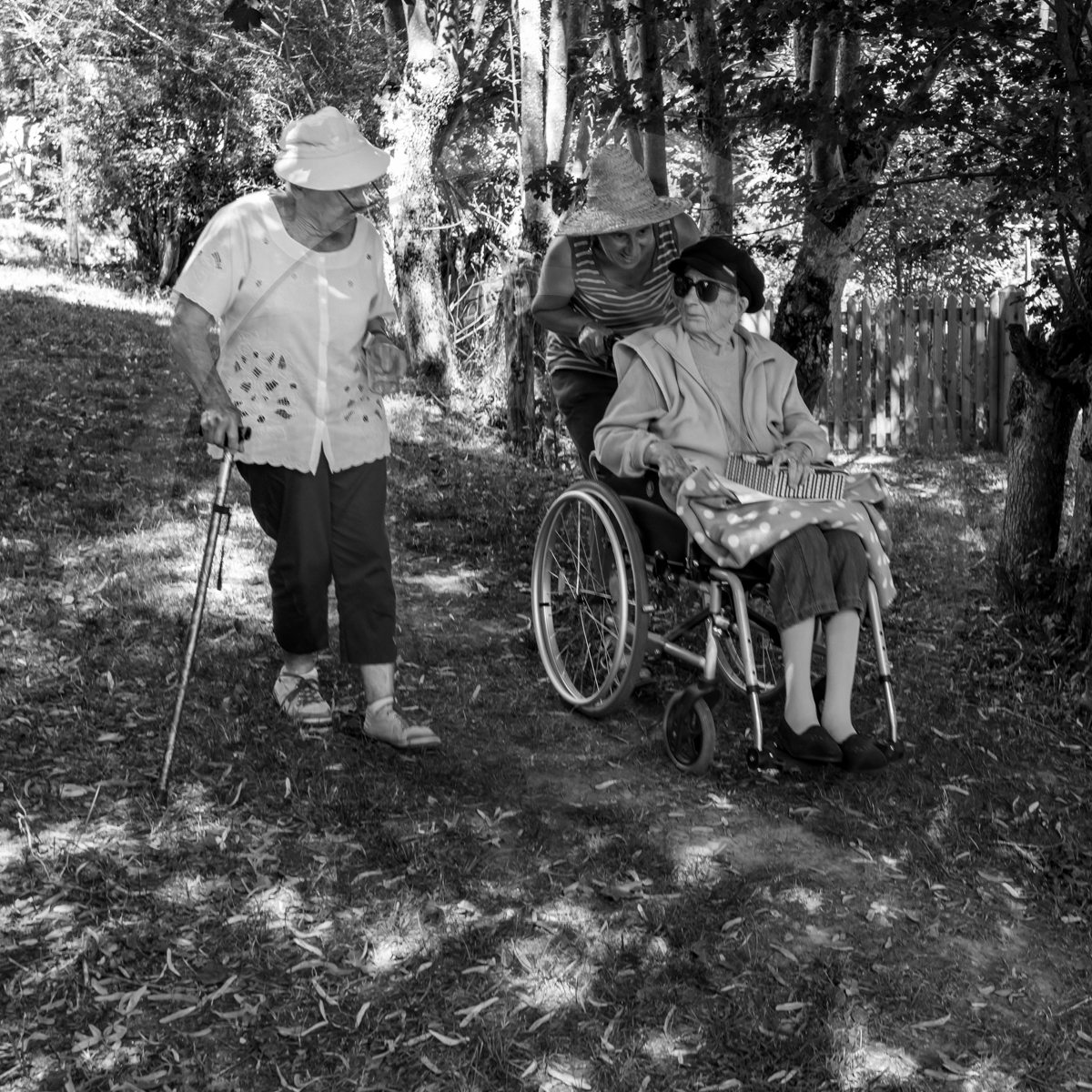 29 juin 2022 : Découverte des plantes sauvages