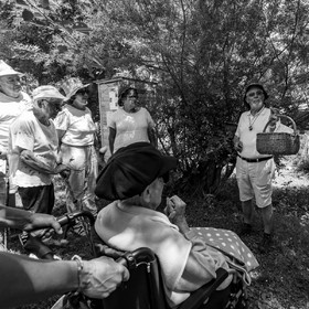 29 juin 2022 : Découverte des plantes sauvages