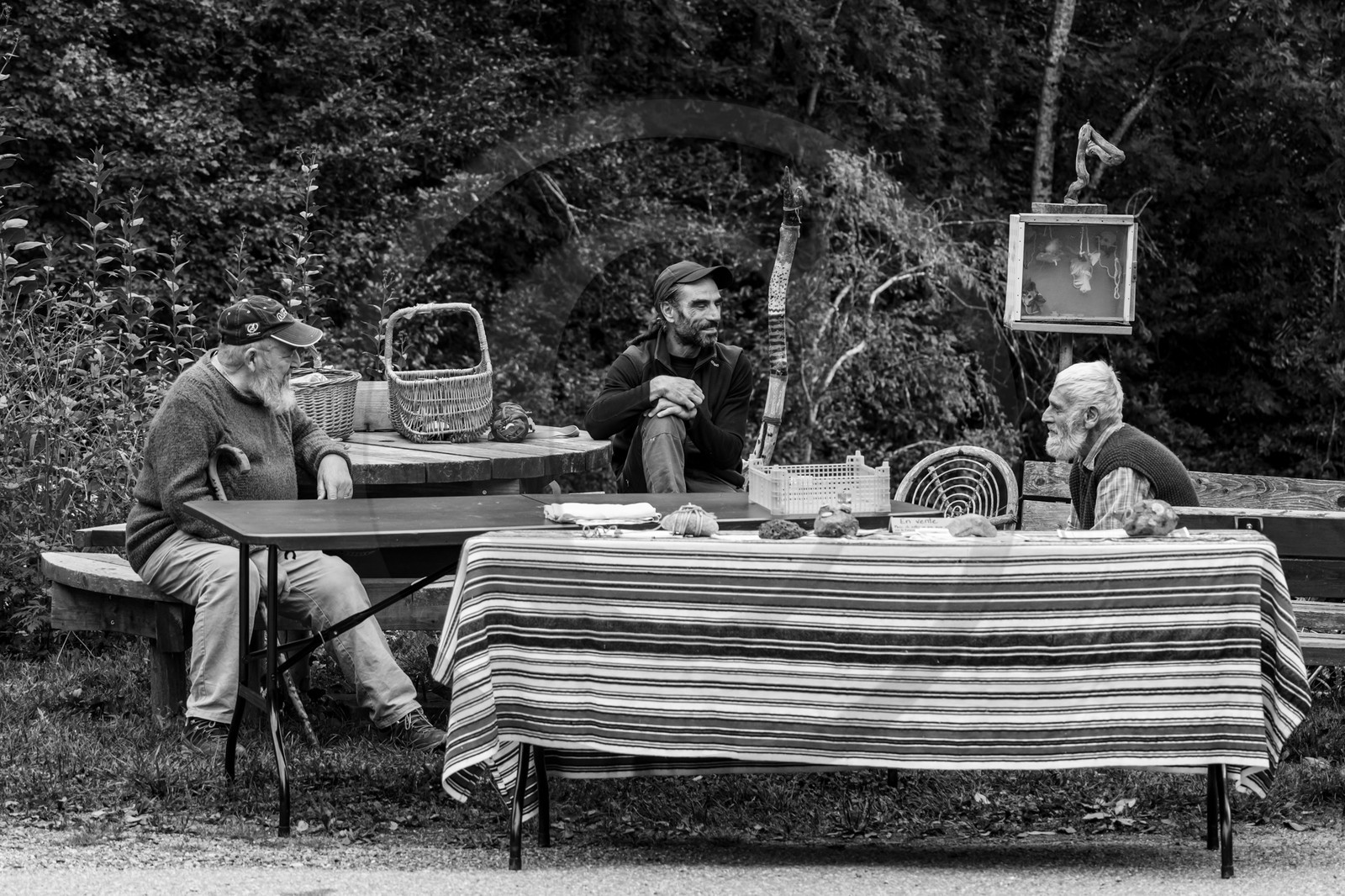 11 septembre 2024 : Spectacle des Célestines à l'Ouort de benevènt
