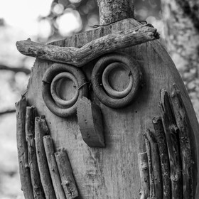 18 juillet 2025 : Journée des aidants