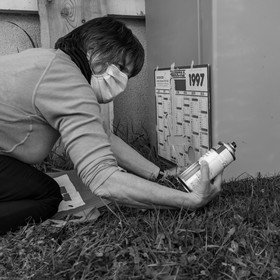 14 avril 2021 : collages, taille, jardinage