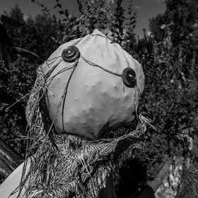 06 octobre 2021 : des contes et des pompons