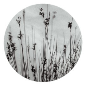 Les instants Camargue