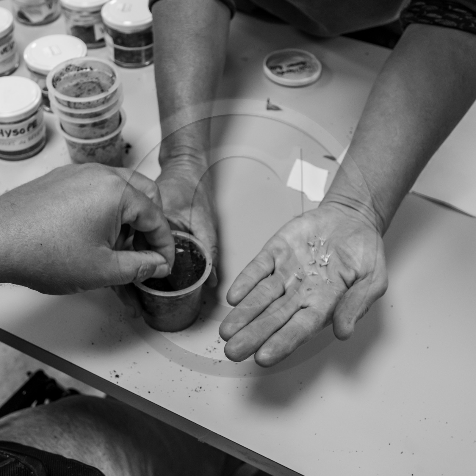 15 septembre 2021 : l'APF à l'Ouort