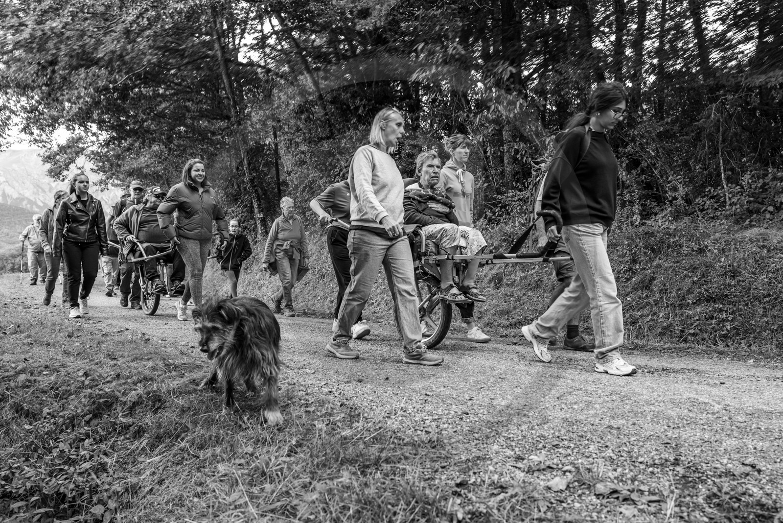 25 septembre 2024 : Promenade en joelette avec Bruno, accompagnateur en montagne et des élèves du lycée Sévigné de Gap