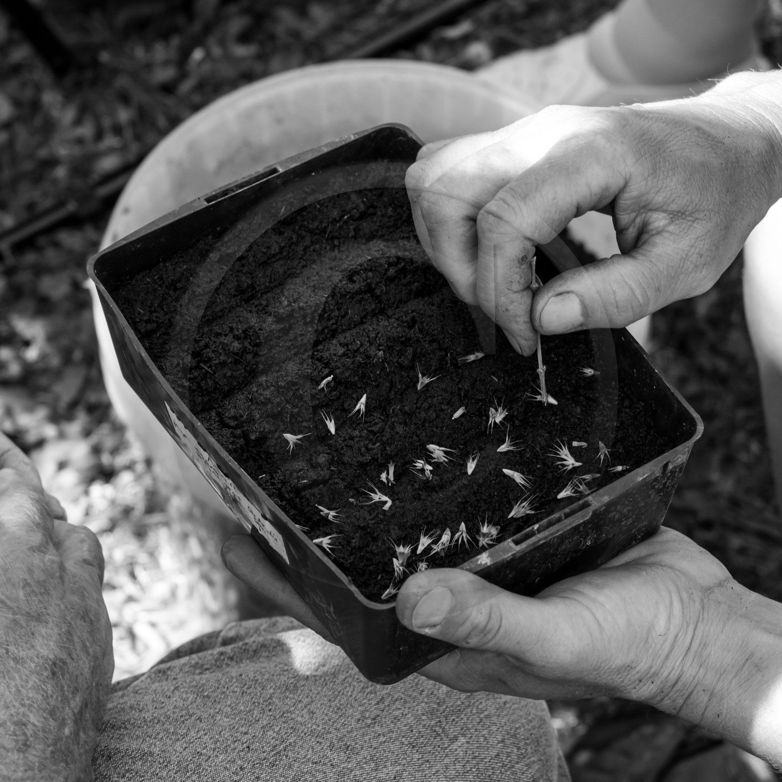 23 août 2017 - Animations