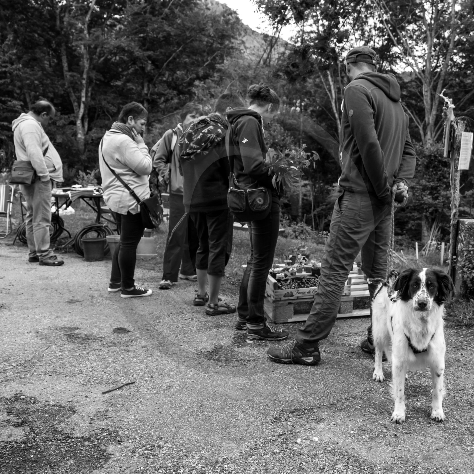 Vide-Jardin à l'Ouort